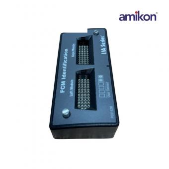 Foxboro P0914ZM FCM Identification I/A Series Left/Right Module ...