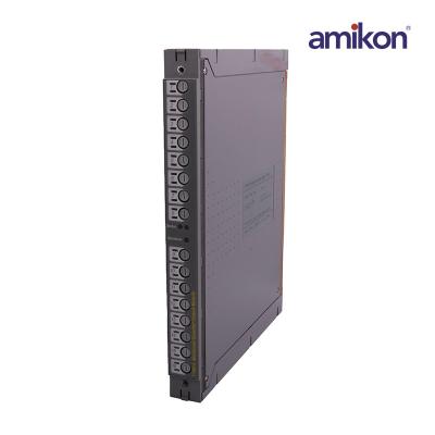 ICS TRIPLEX T7481A monitored guarded