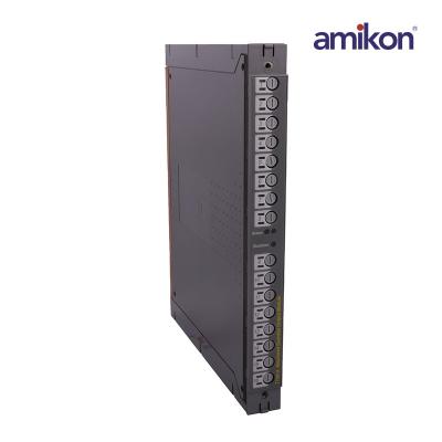 ICS TRIPLEX T7481A monitored guarded