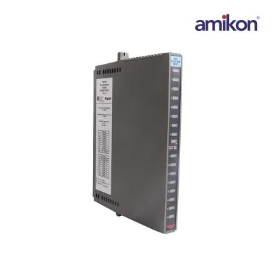 ICS TRIPLEX T3419 Digital Input