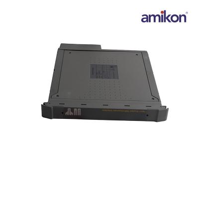 ICS TRIPLEX T8311 Trusted Expander Modules