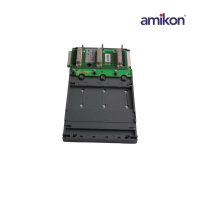 ICS TRIPLEX T9300	I/O Backplane