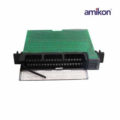 General Electric IC697MDL654  48 Vdc Input, Positive/Negative Logic