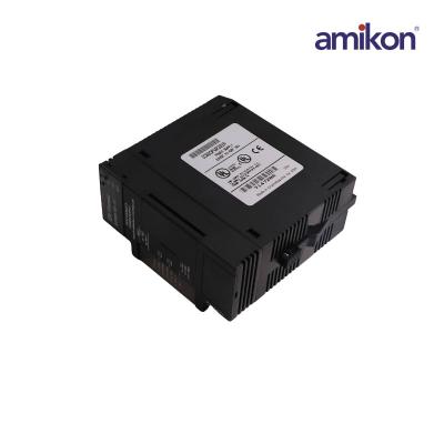 GE IC693PWR331 Power Supply