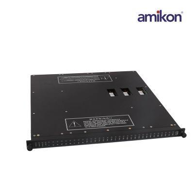 Triconex 3664  Dual Digital Output Modules
