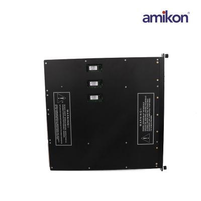 Triconex 3664  Dual Digital Output Modules