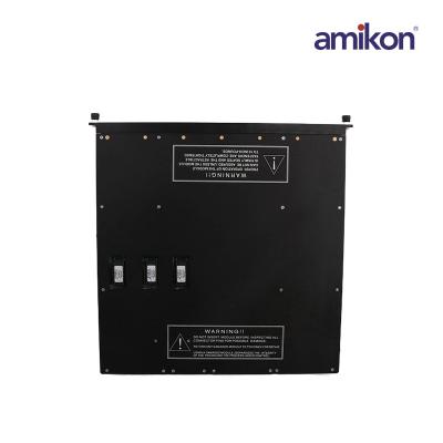 Triconex 3664  Dual Digital Output Modules