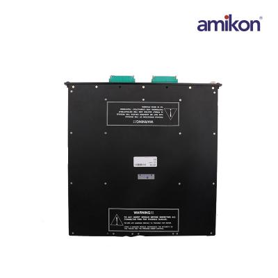 Triconex 2658 connection module