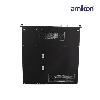 Triconex 4210 Remote Extender Module