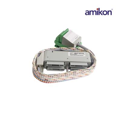 FOXBORO FBM2/36 P0500RG FOXBORO Termination Cable Assembly