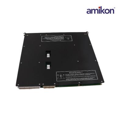 Triconex 4210 Remote Extender Module