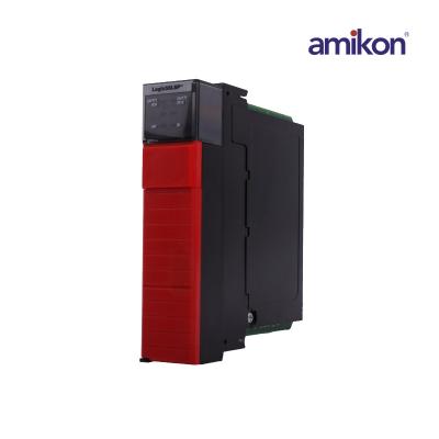 1756-LSP Safety Partner module