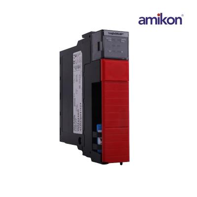 1756-LSP Safety Partner module