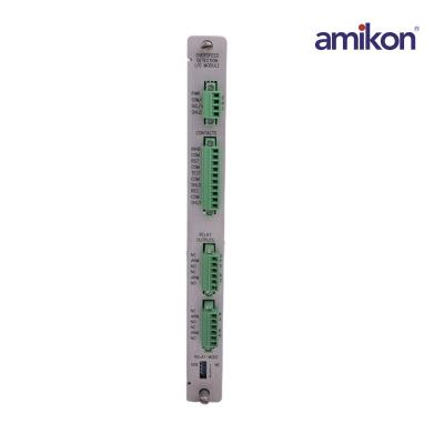 Bently Nevada 125768-01 RIM I/O Module