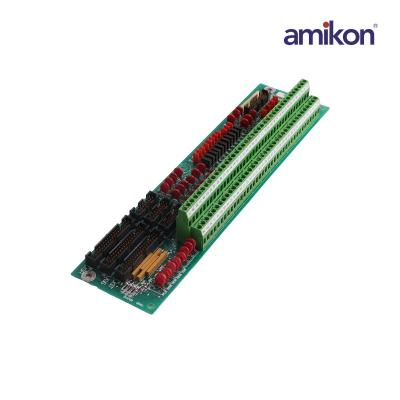 General Electric DS200TBQBG1ACB Analog termination  Board