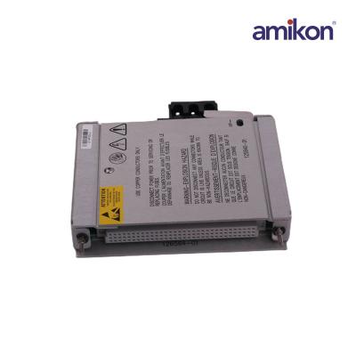 Bently Nevada 125840-01 High Voltage AC Power Input Module