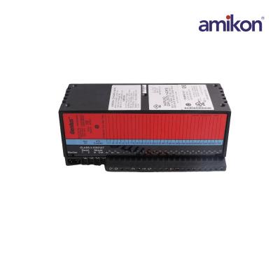 General Electric IC660BRD024C1  Source Block