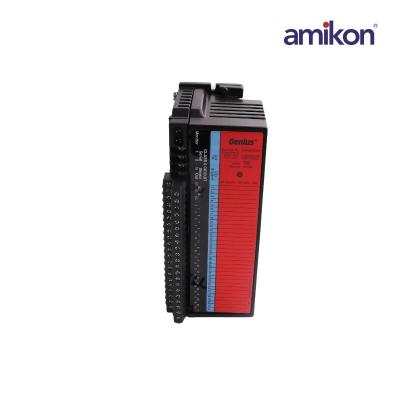 General Electric IC660BRD024C1  Source Block