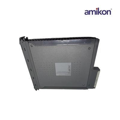 ICS TRIPLEX T8191 Shield (For Controller Module – Triple Slot) - Pack of 2