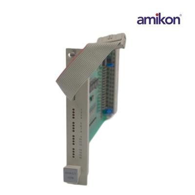 Honeywell 10104/2/1 Digital input module