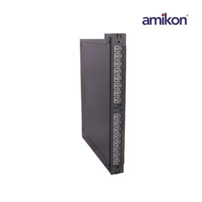 ICS Triplex   T8240 I O Chassis