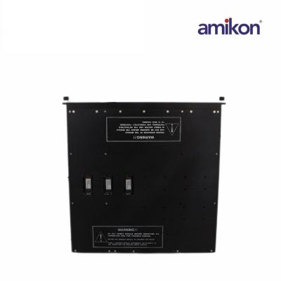 Triconex 3607E Digital Output Module