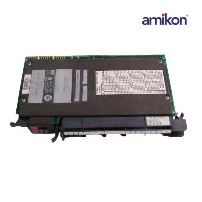 1771-IFE Analog Input Module