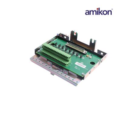 General Electric IS230SNAOH2A IS200STAOH2AAA Analog Output