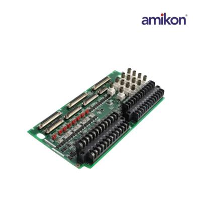 General Electric IS200ACLEH1BCB IS215ACLEH1BC Analog Input Module