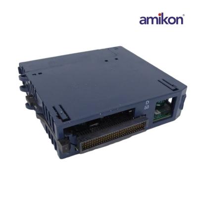 General Electric IC695PSD040CAH Power Supply Module