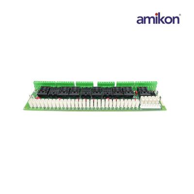 General Electric DS200RTBAG3AEB Relay Terminal Board