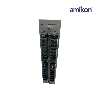 Bently Nevada 81545-01 Record Terminals / Dual Epoxy Relays Module
