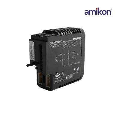 EMERSON KJ3002X1-BG2 12P1731X062 Delta V Thermocouple Module