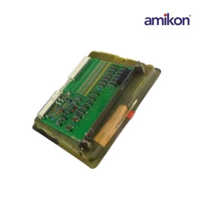 ABB GKWE850000R0100 81EB10D Analog Input Module