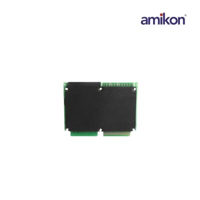 General Electric IC600BF910 IC600FP910K IC600BF910K Output Module