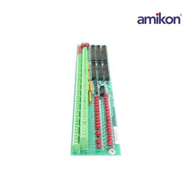 General Electric DS200DTBDG1ABB Terminal Board