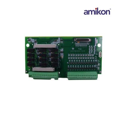 General Electric IS200WEORG1ACD Terminal Board