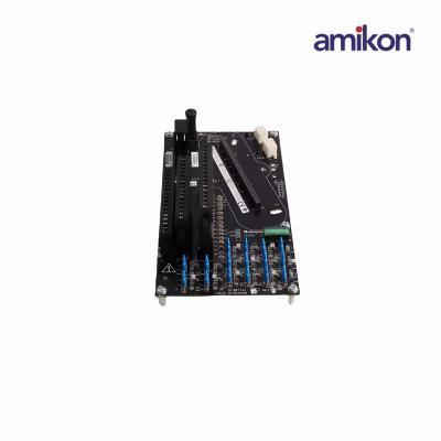 8C-TAIDA1 51307131-175