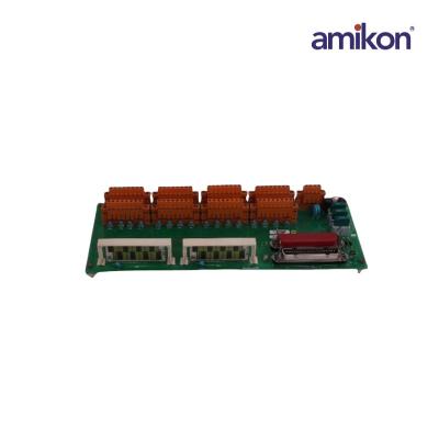 8C-TAIX61/51306977-175