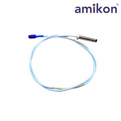 330101-12-30-10-02-05