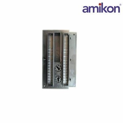 General Electric IC200MDL940 VersaMax Output Module