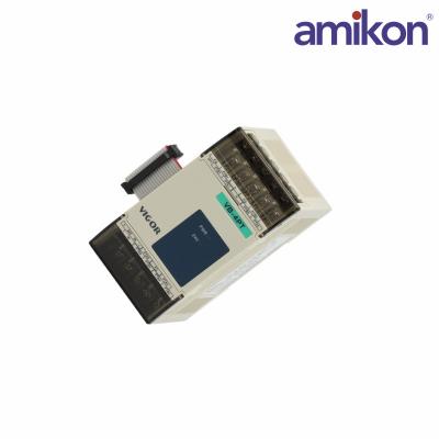 Vigor  VB-4PT Temperature Module