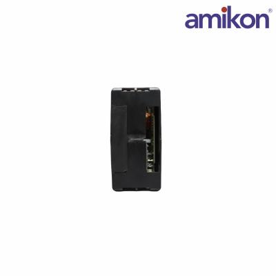 ABB	IISAC01 Analog Control Station