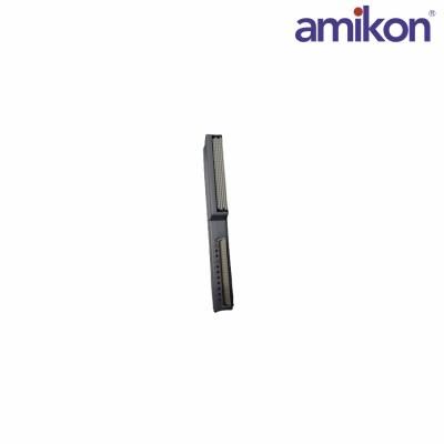 ICS TRIPLEX T8310 Expander Processor