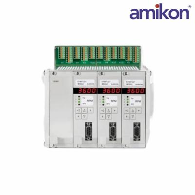 Braun  E16A342.011 Overspeed Protection System