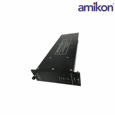 ALSTOM 8177-4002 AC Input Module