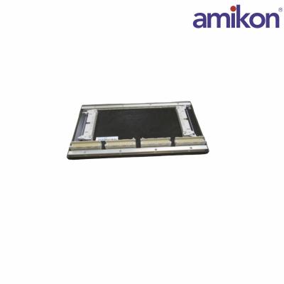 BACHMANN BS204 Bachplane Module