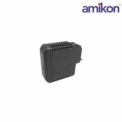 Emerson DeltaV KJ4005X1-BC1 Right Extender