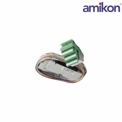 FOXBORO FBM4/39/44 P0500RY	Termination Cable Assembly