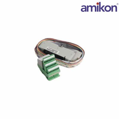 FOXBORO FBM4/39/44 P0500RY	Termination Cable Assembly